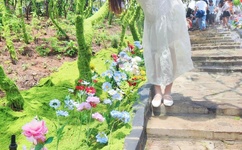 迈开腿尝尝你的蜜林